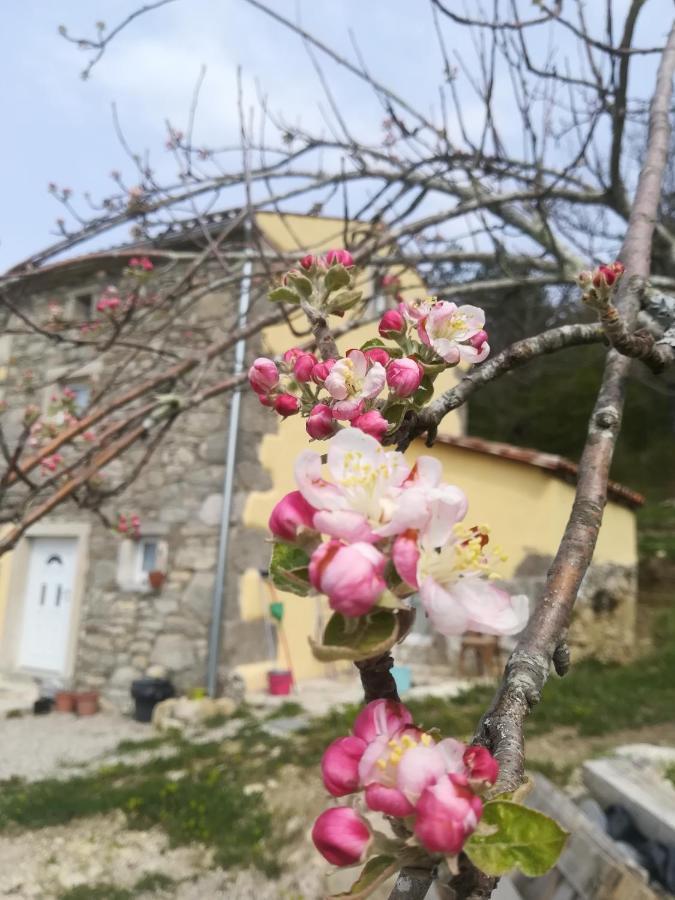 Skalameri Kozljak Εξωτερικό φωτογραφία